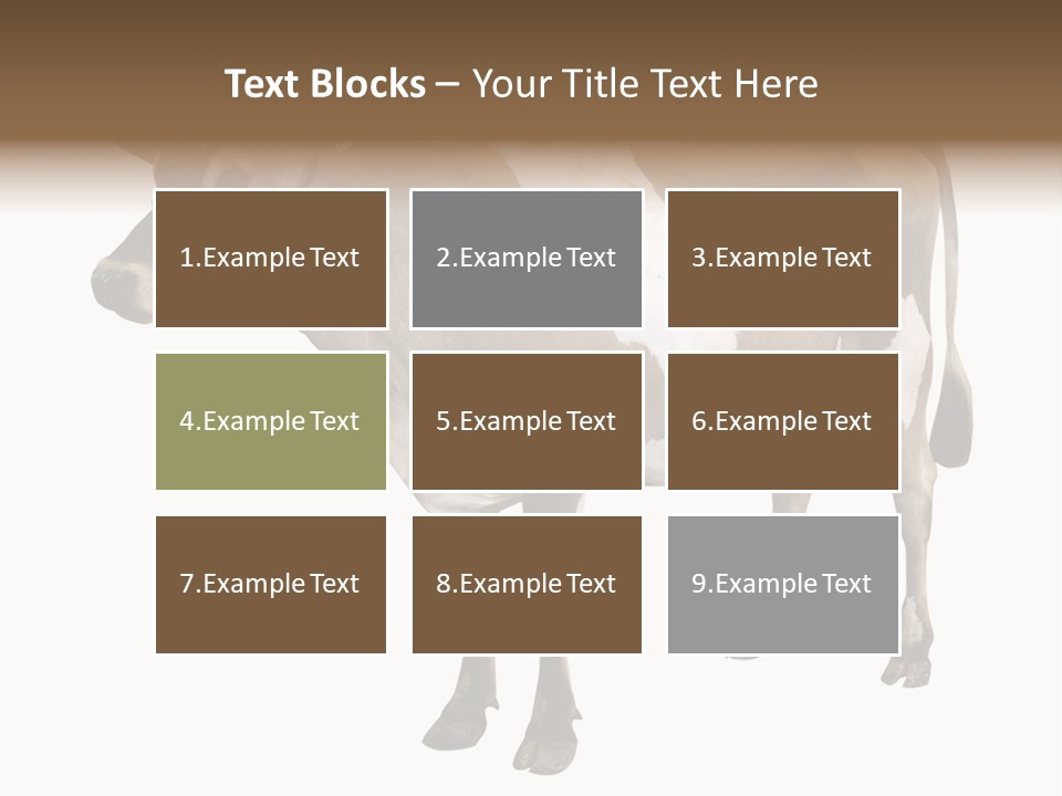 Hooves Calf Livestock PowerPoint Template