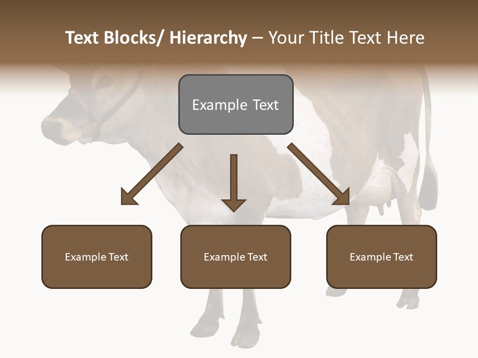 Hooves Calf Livestock PowerPoint Template