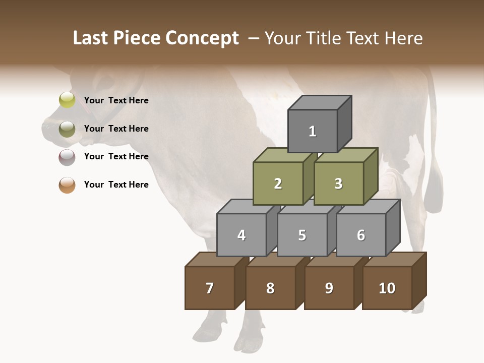 Hooves Calf Livestock PowerPoint Template