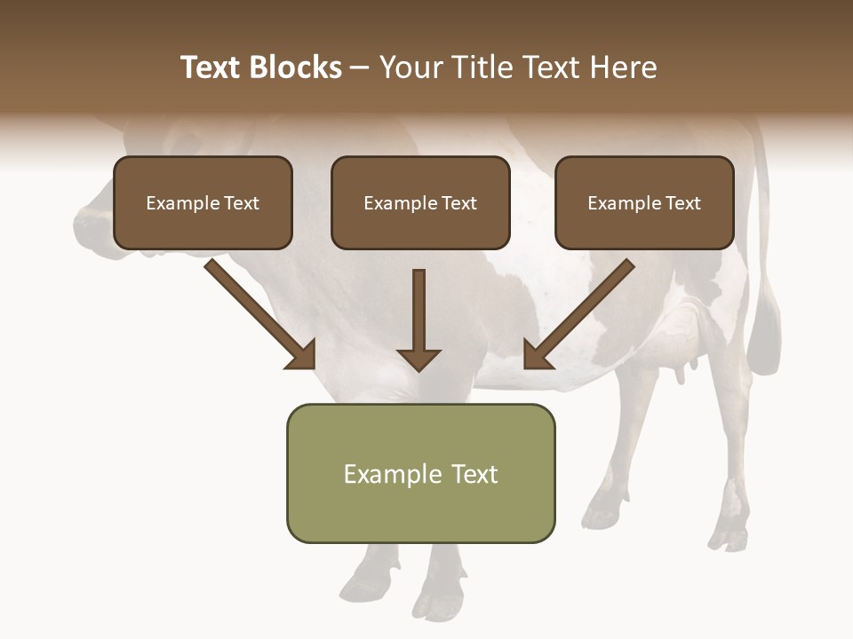 Hooves Calf Livestock PowerPoint Template