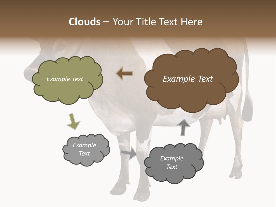 Hooves Calf Livestock PowerPoint Template