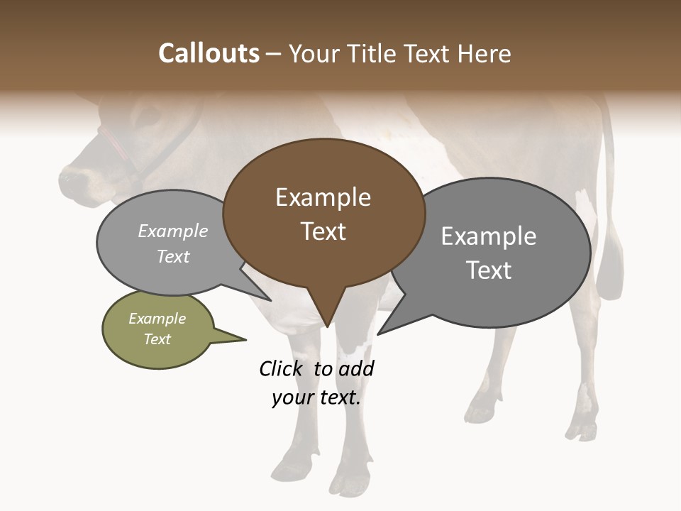 Hooves Calf Livestock PowerPoint Template