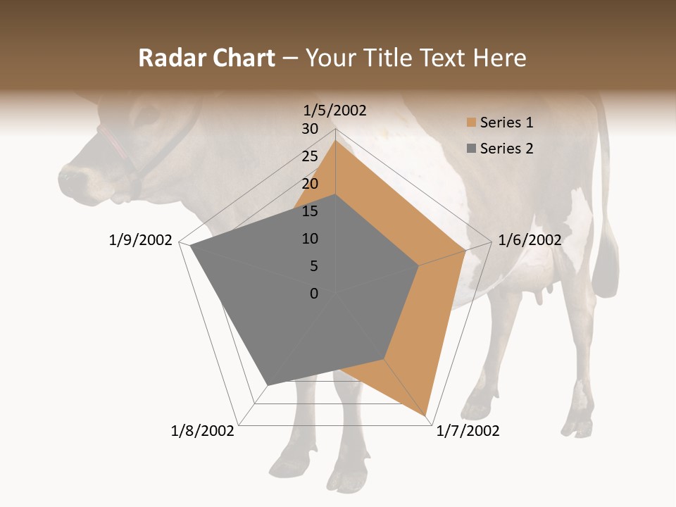 Hooves Calf Livestock PowerPoint Template