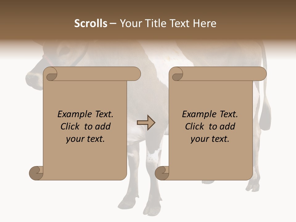 Hooves Calf Livestock PowerPoint Template