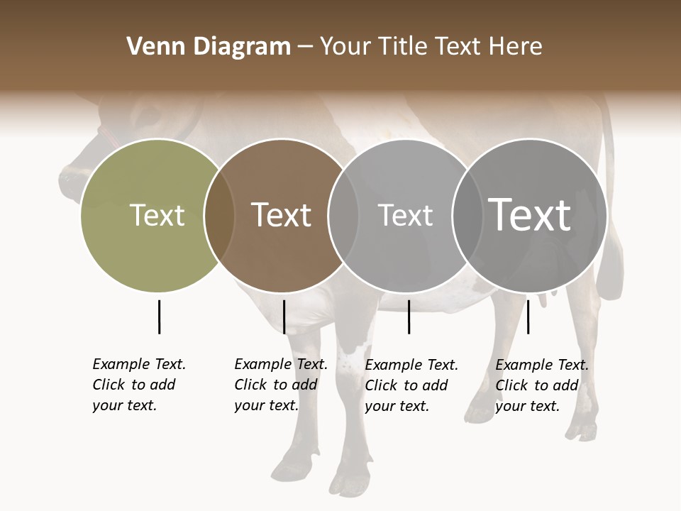 Hooves Calf Livestock PowerPoint Template