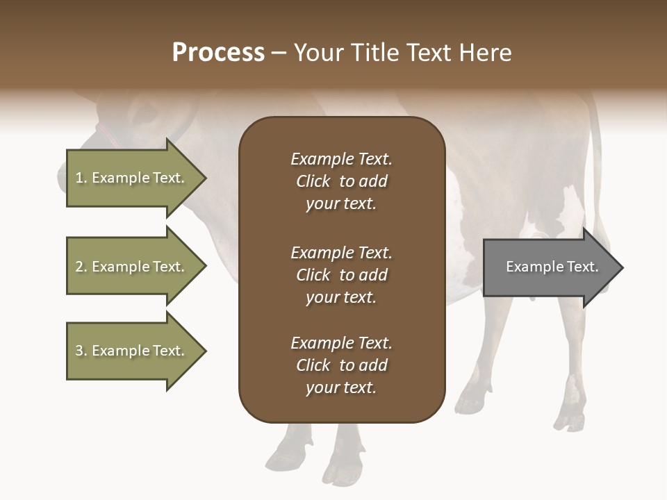 Hooves Calf Livestock PowerPoint Template
