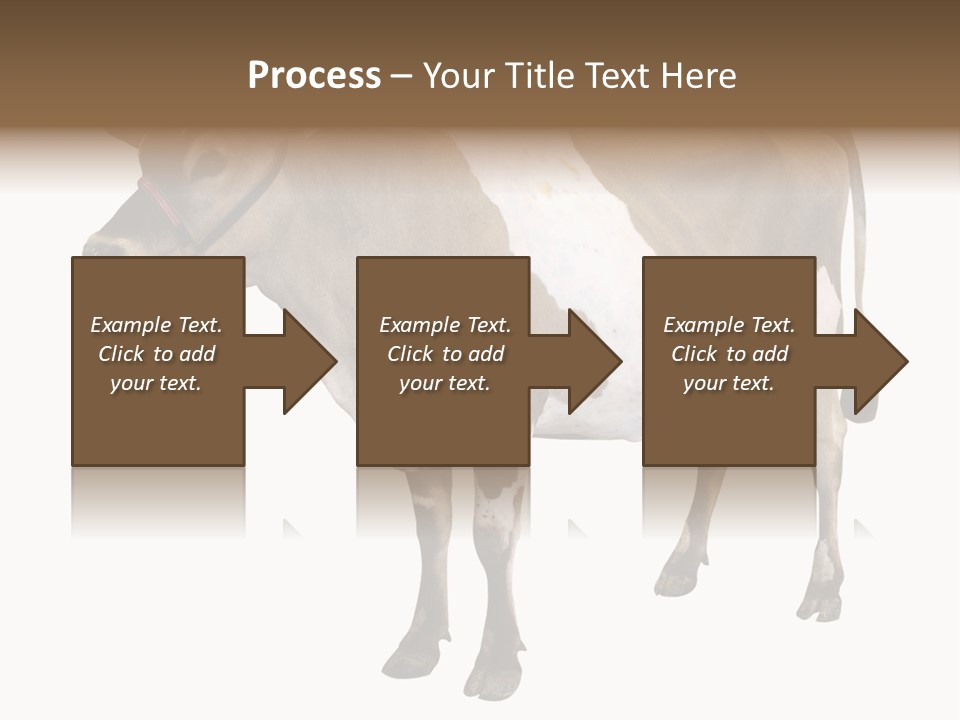 Hooves Calf Livestock PowerPoint Template