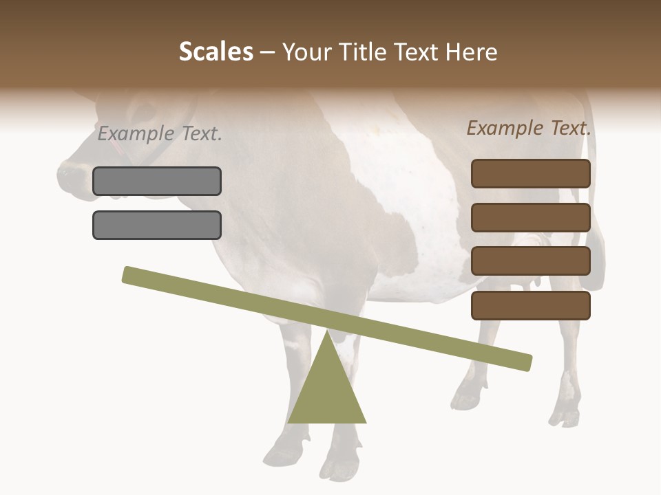 Hooves Calf Livestock PowerPoint Template