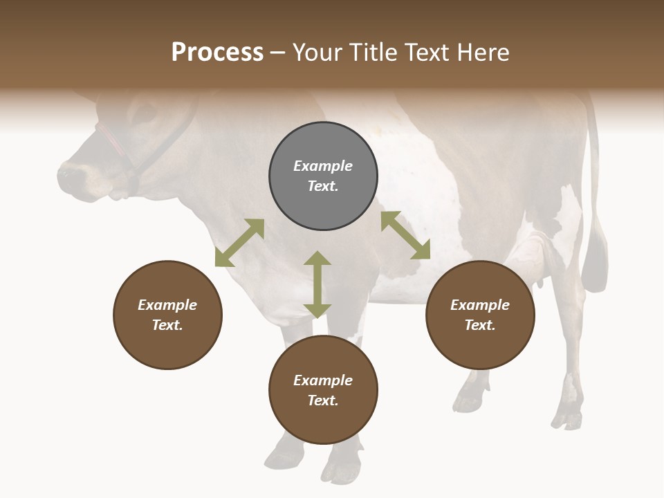 Hooves Calf Livestock PowerPoint Template