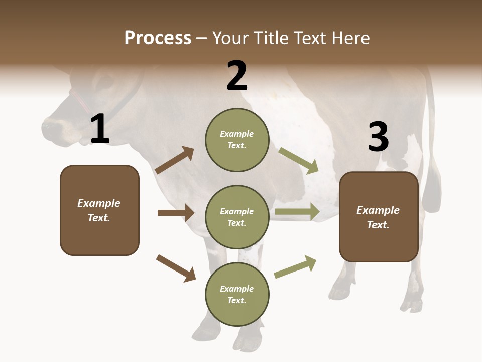 Hooves Calf Livestock PowerPoint Template