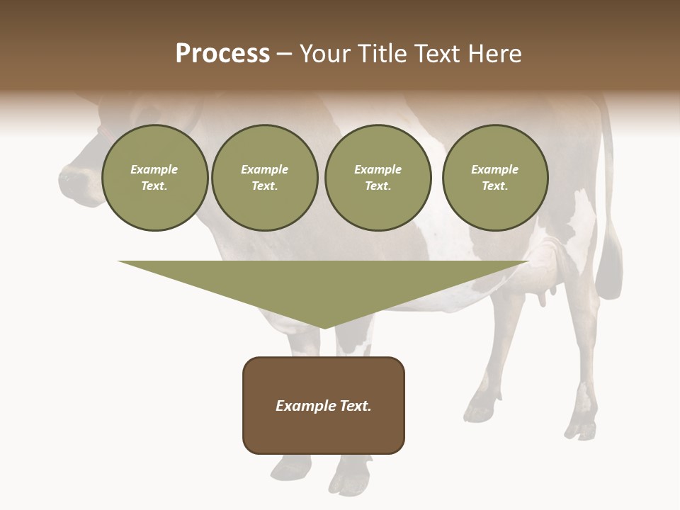 Hooves Calf Livestock PowerPoint Template