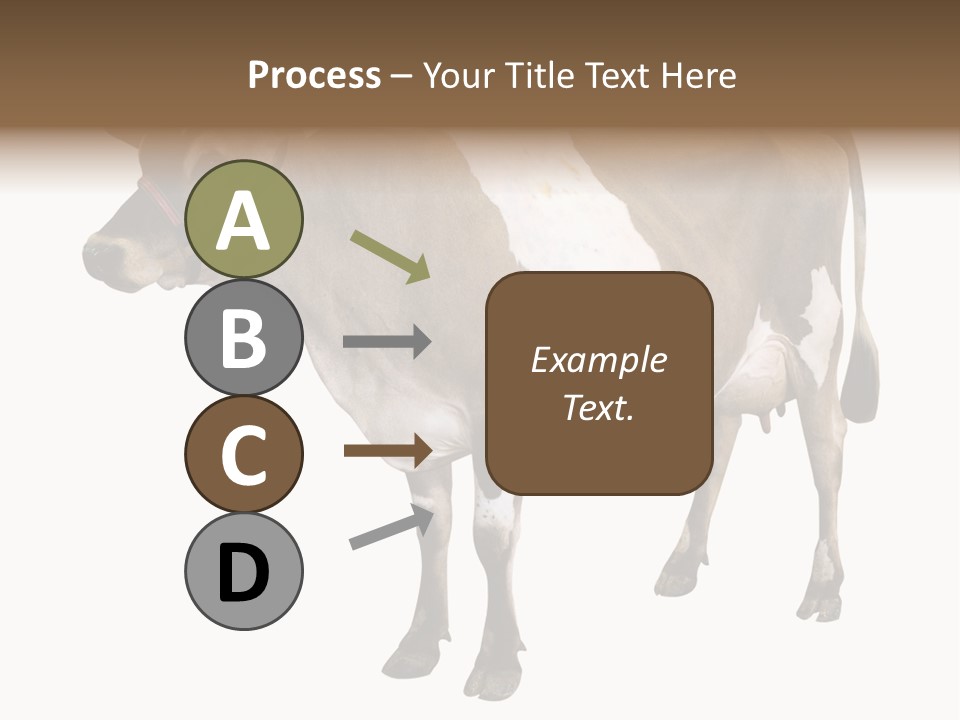 Hooves Calf Livestock PowerPoint Template