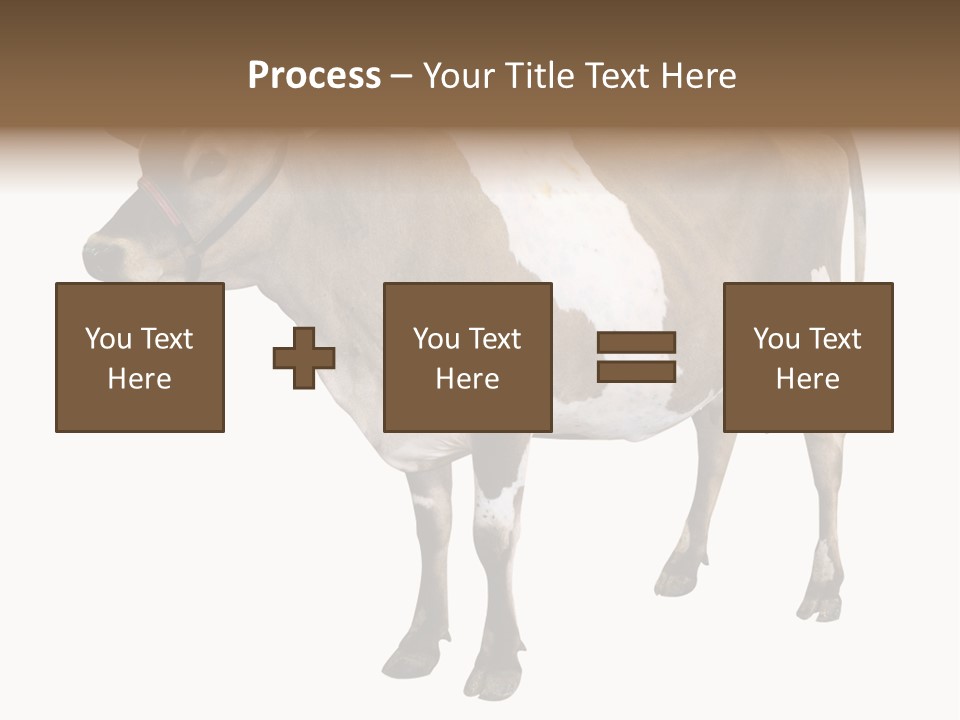 Hooves Calf Livestock PowerPoint Template