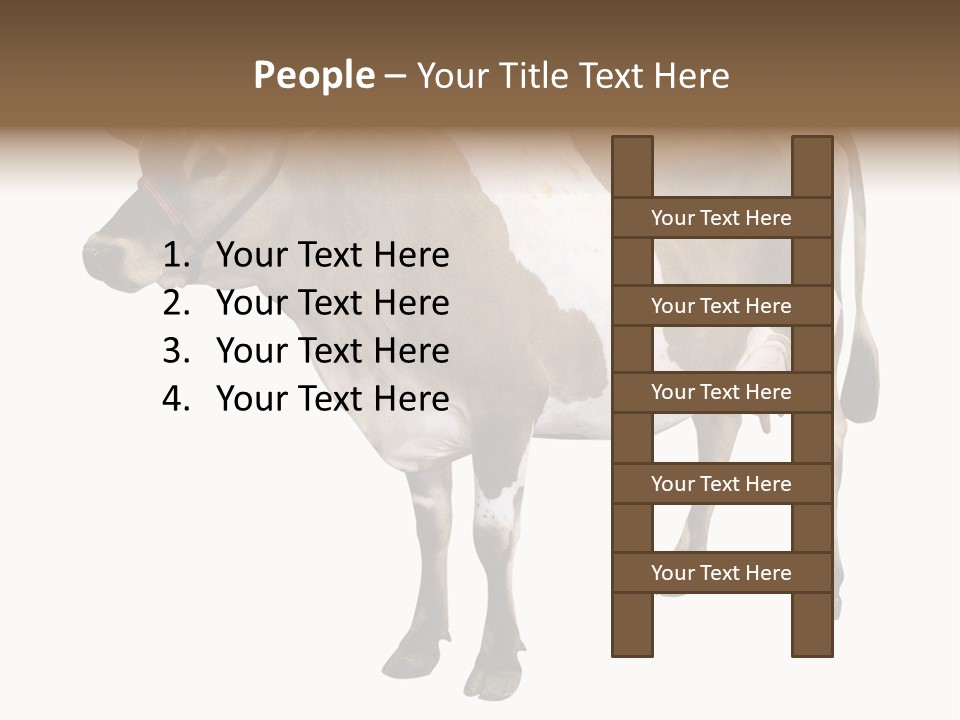 Hooves Calf Livestock PowerPoint Template