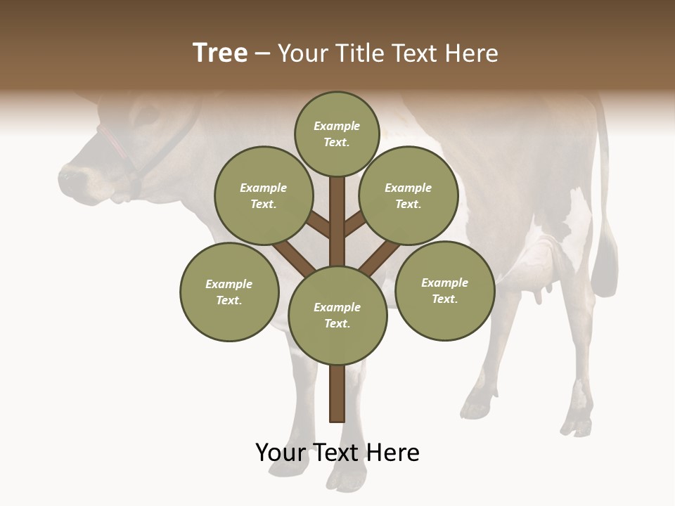 Hooves Calf Livestock PowerPoint Template
