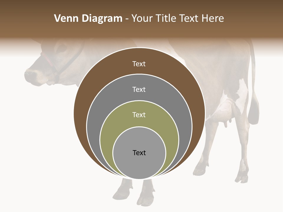 Hooves Calf Livestock PowerPoint Template