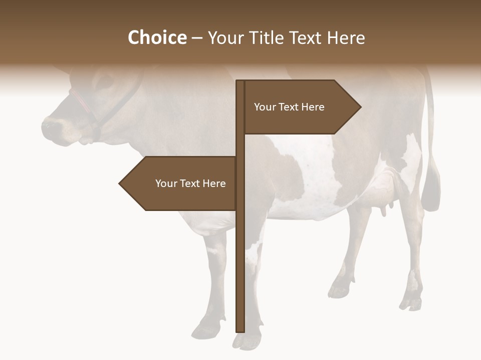 Hooves Calf Livestock PowerPoint Template
