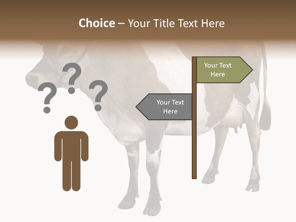 Hooves Calf Livestock PowerPoint Template