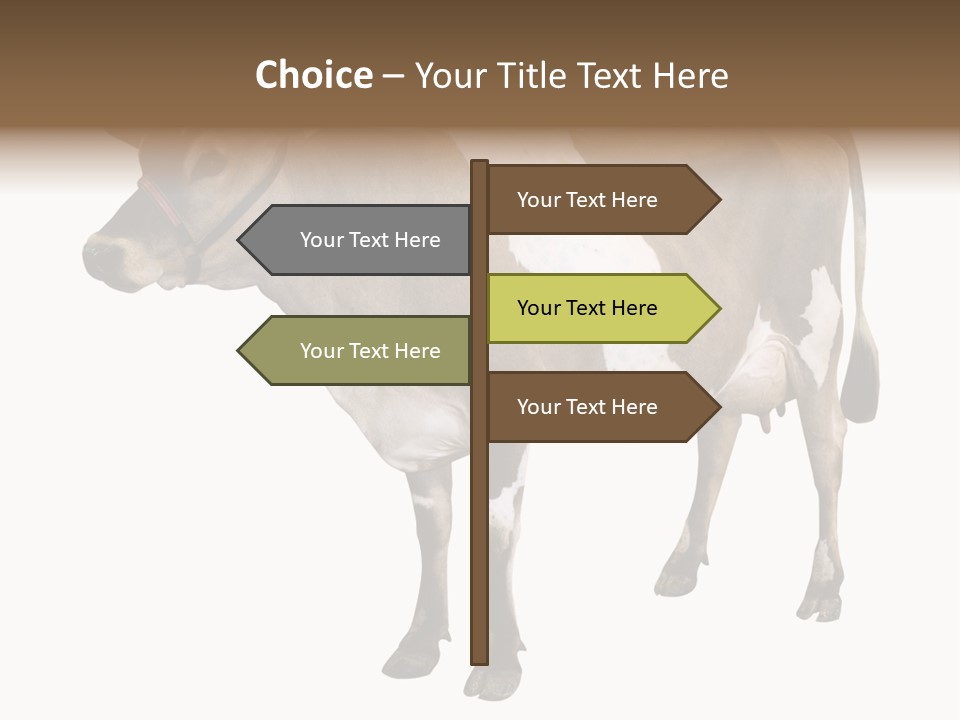 Hooves Calf Livestock PowerPoint Template
