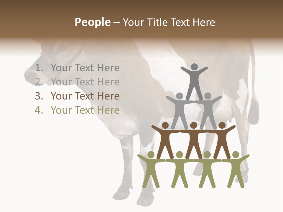 Hooves Calf Livestock PowerPoint Template