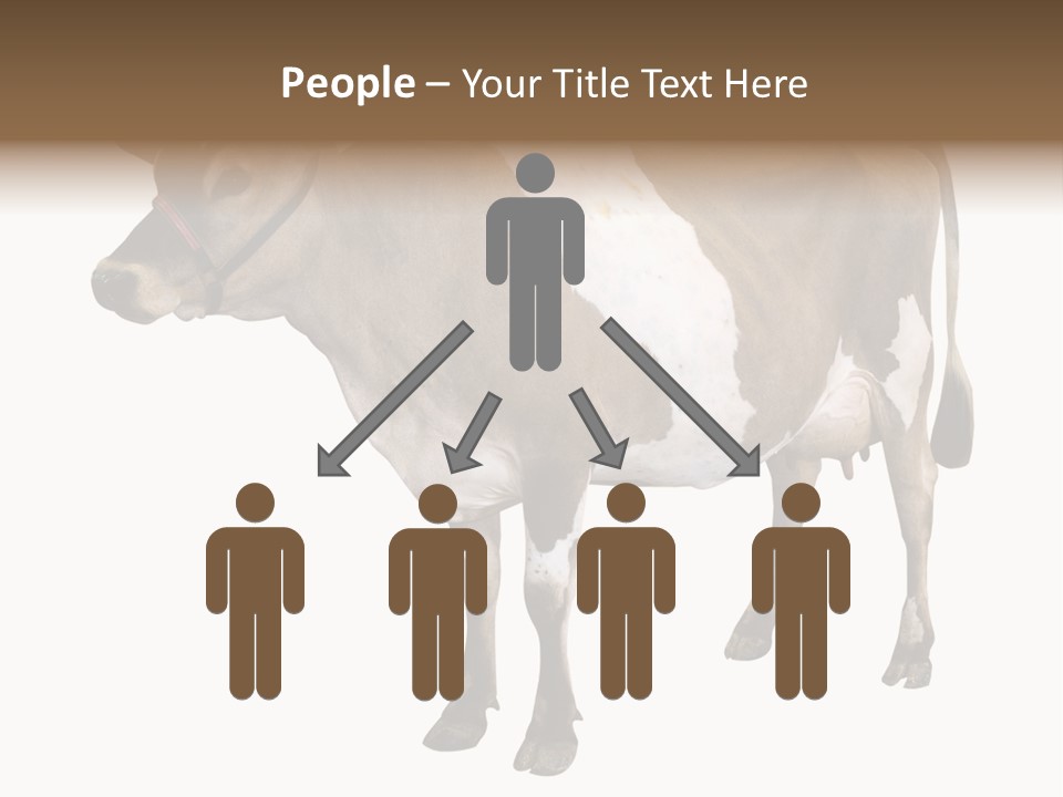 Hooves Calf Livestock PowerPoint Template