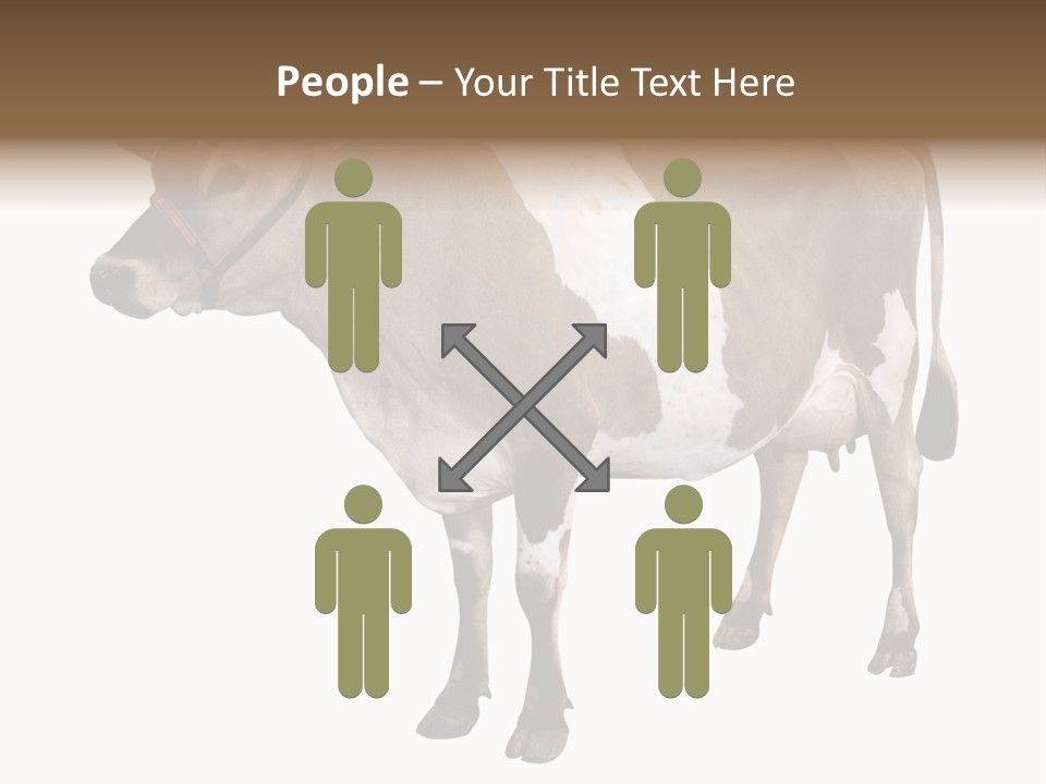 Hooves Calf Livestock PowerPoint Template