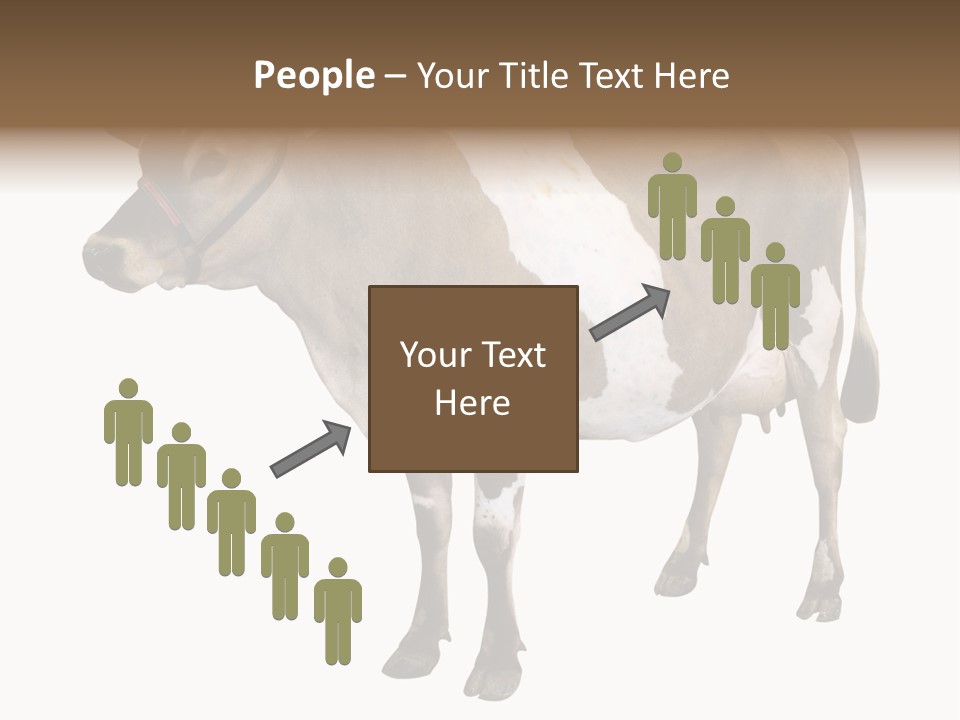 Hooves Calf Livestock PowerPoint Template