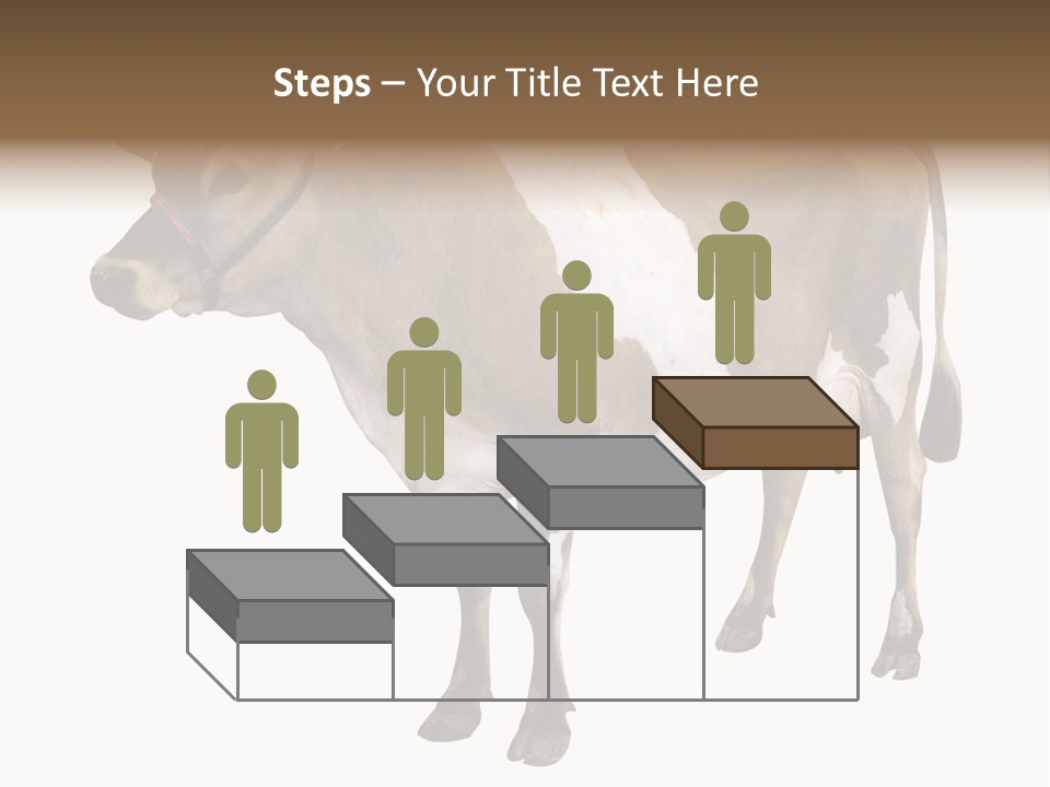Hooves Calf Livestock PowerPoint Template