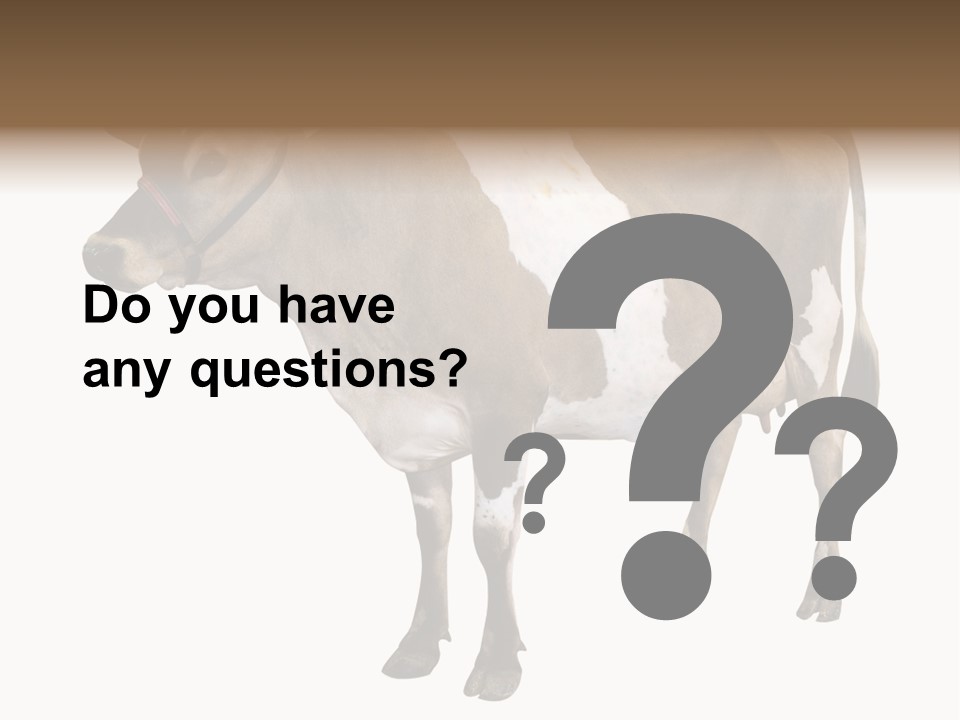 Hooves Calf Livestock PowerPoint Template