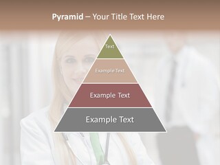 Pet Cat Curious PowerPoint Template