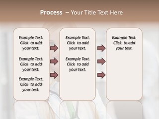 Pet Cat Curious PowerPoint Template