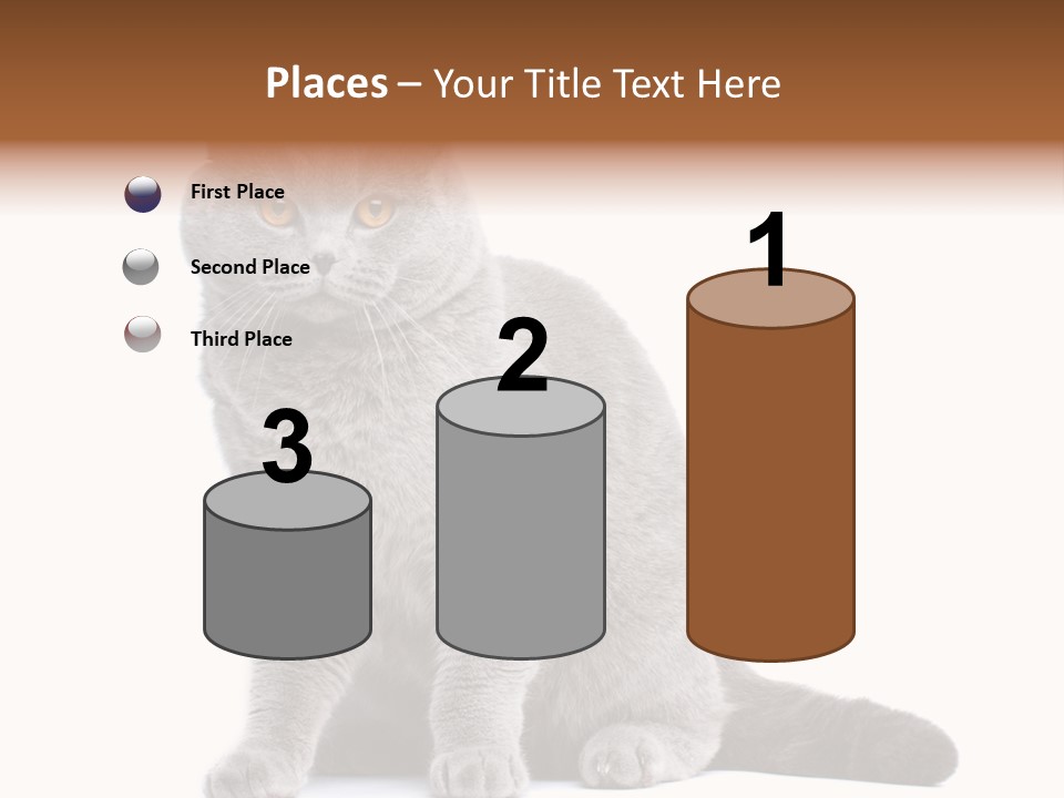 Pet Cat Curious PowerPoint Template