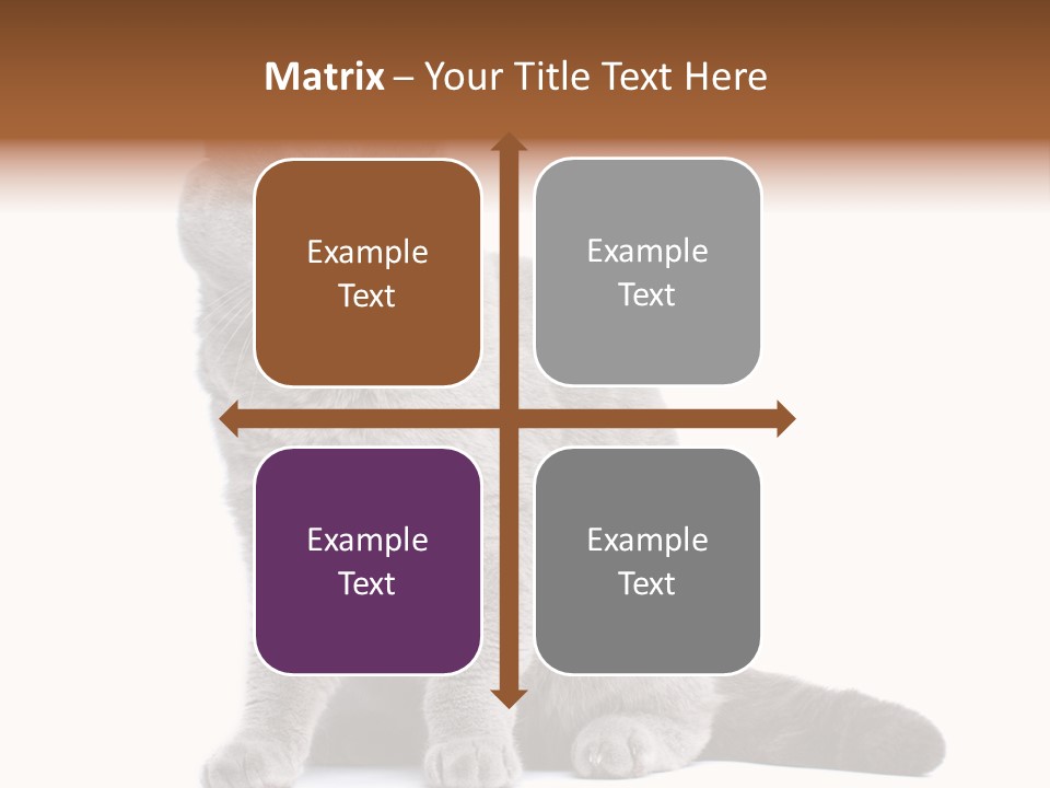 Pet Cat Curious PowerPoint Template