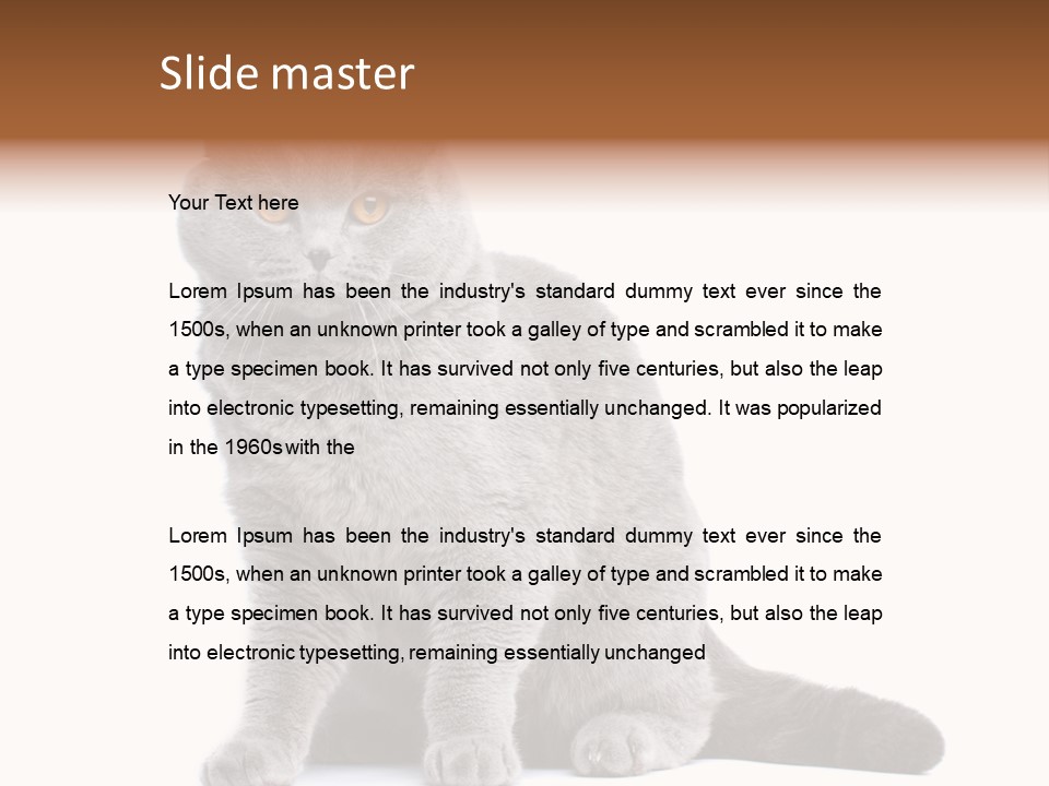 Pet Cat Curious PowerPoint Template