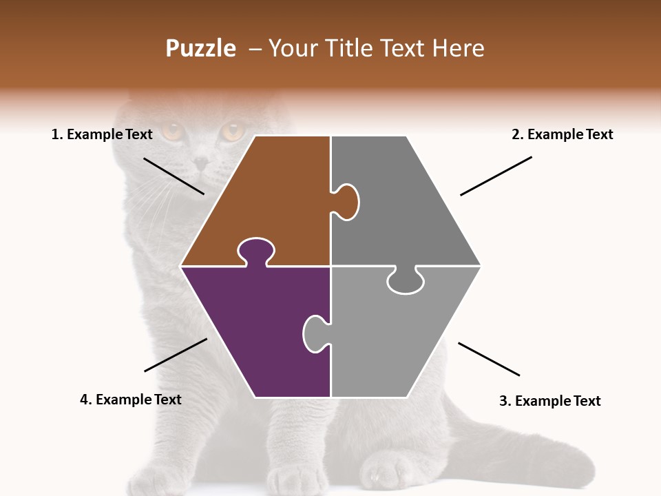 Pet Cat Curious PowerPoint Template