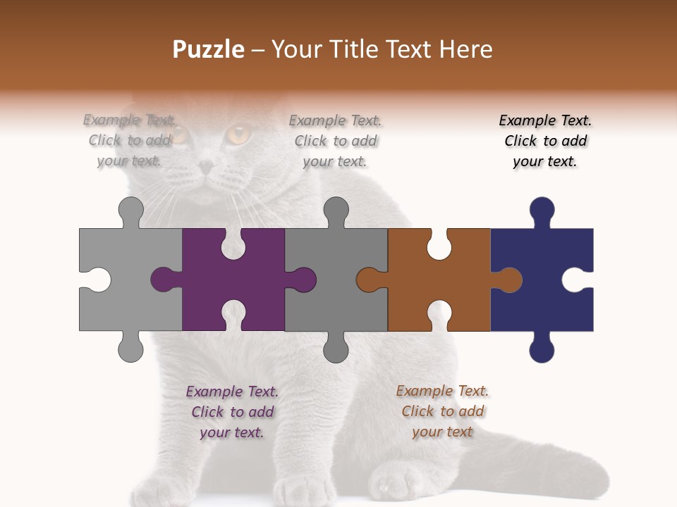 Pet Cat Curious PowerPoint Template