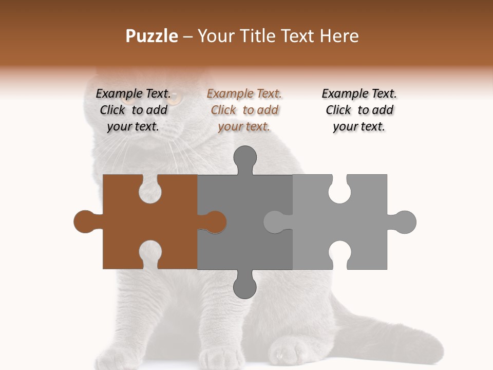 Pet Cat Curious PowerPoint Template