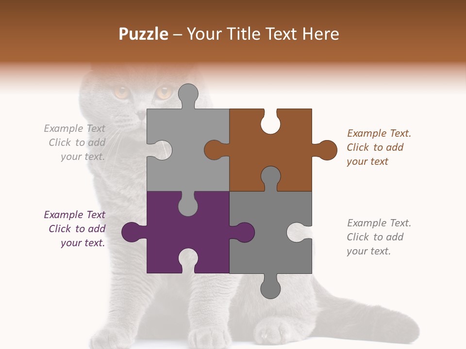 Pet Cat Curious PowerPoint Template