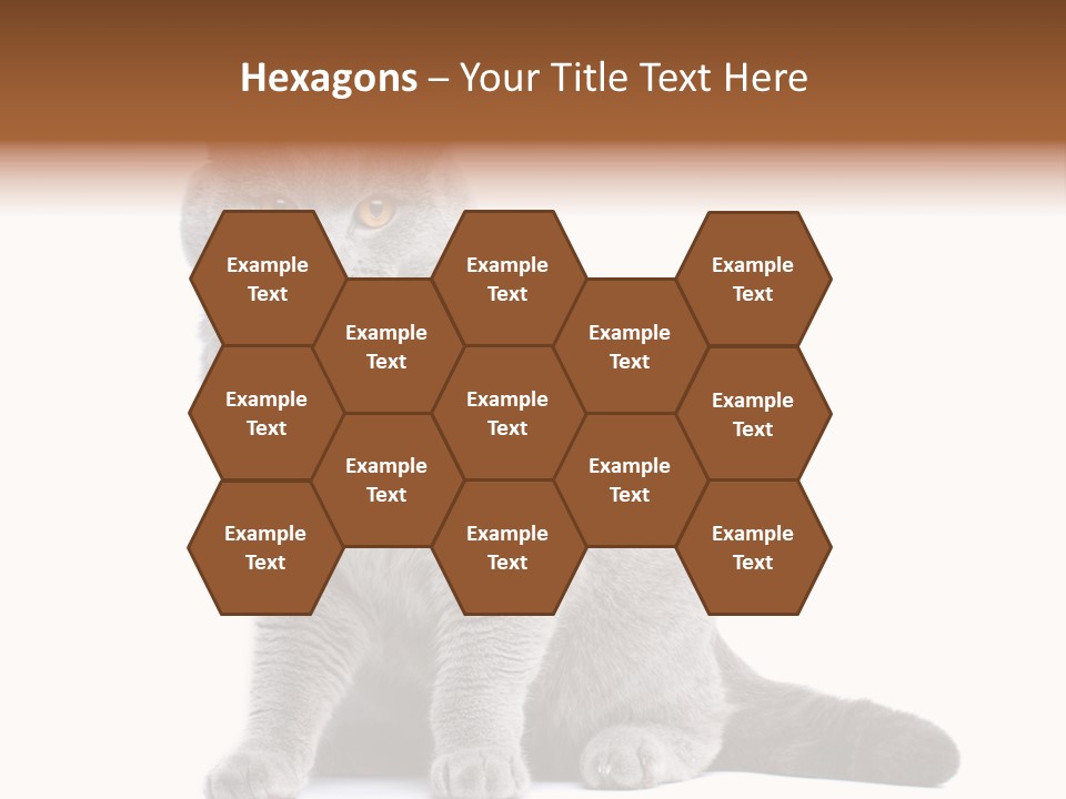 Pet Cat Curious PowerPoint Template