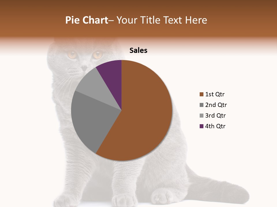 Pet Cat Curious PowerPoint Template