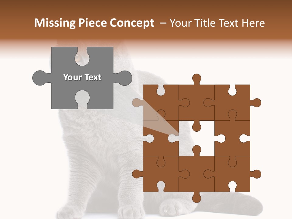 Pet Cat Curious PowerPoint Template