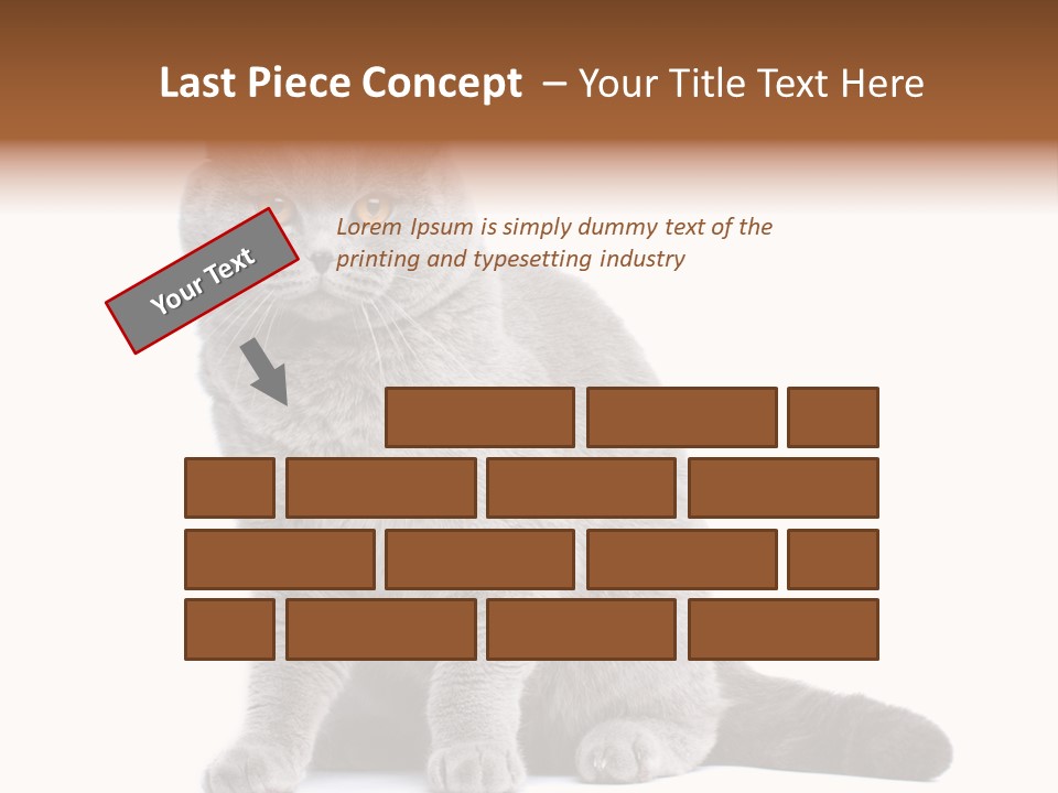 Pet Cat Curious PowerPoint Template