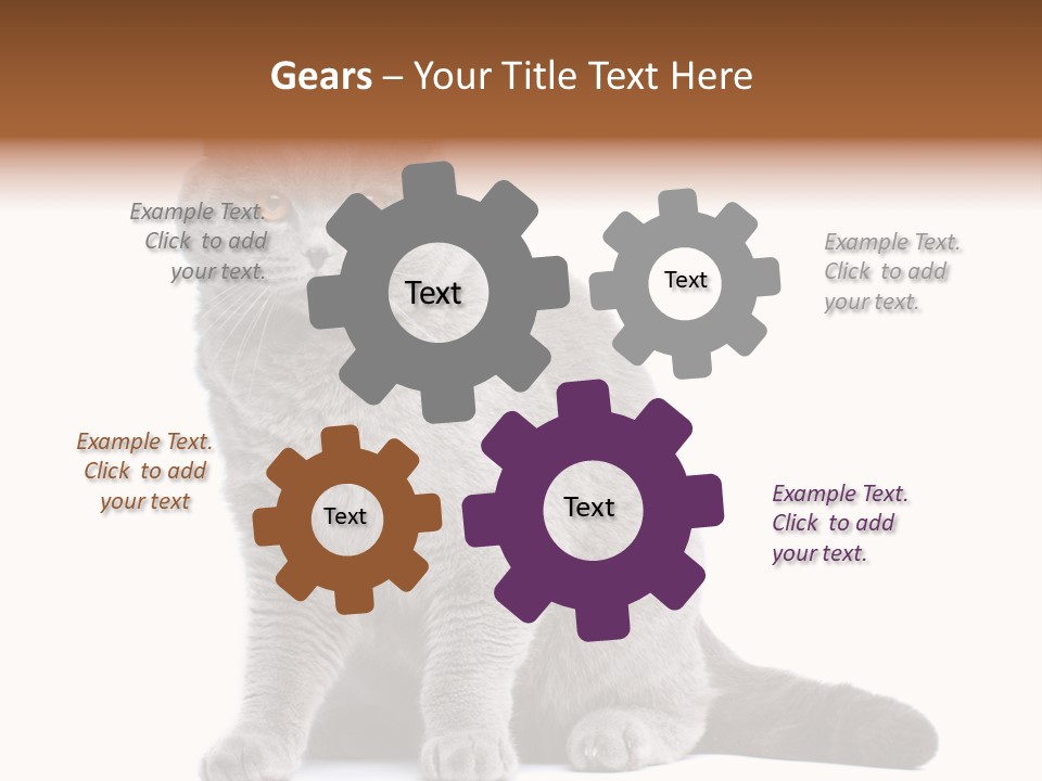 Pet Cat Curious PowerPoint Template