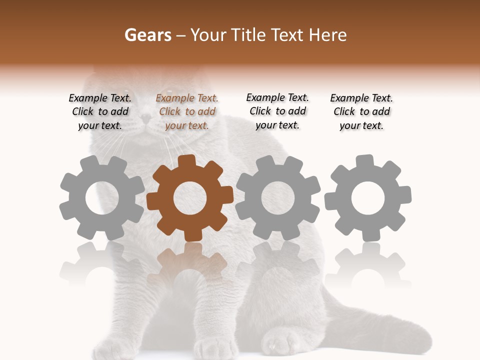 Pet Cat Curious PowerPoint Template