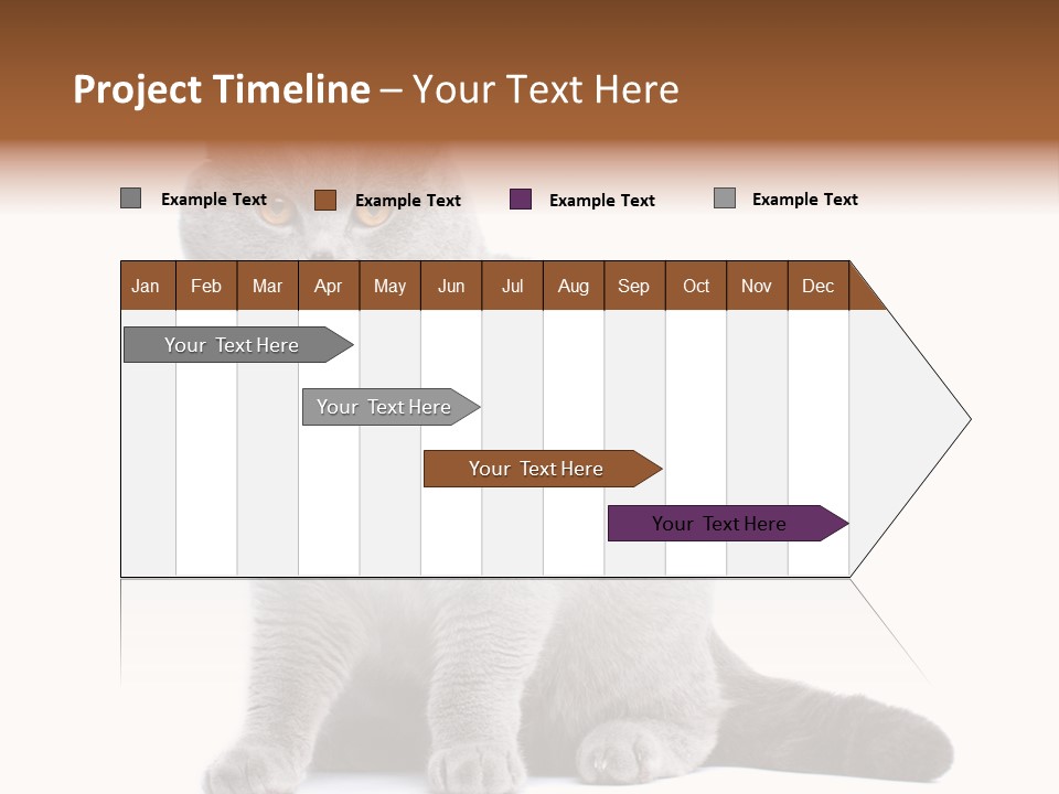 Pet Cat Curious PowerPoint Template