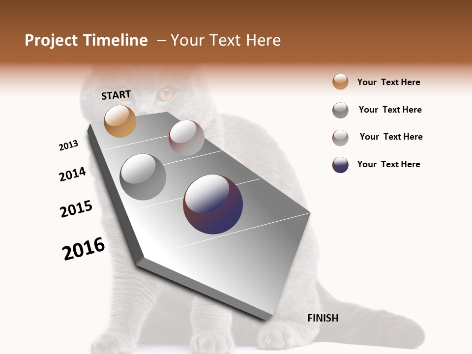 Pet Cat Curious PowerPoint Template