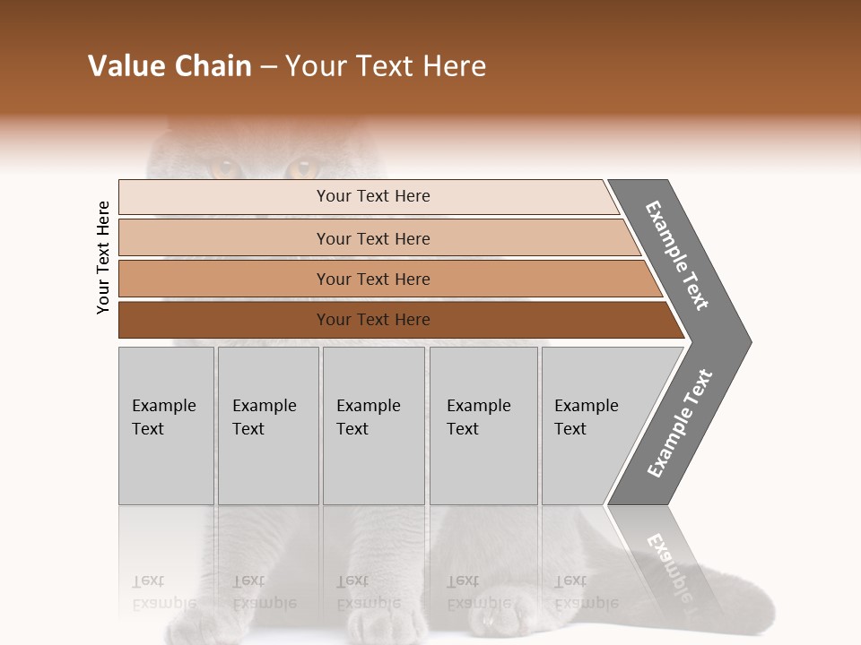 Pet Cat Curious PowerPoint Template