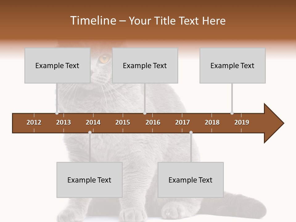 Pet Cat Curious PowerPoint Template