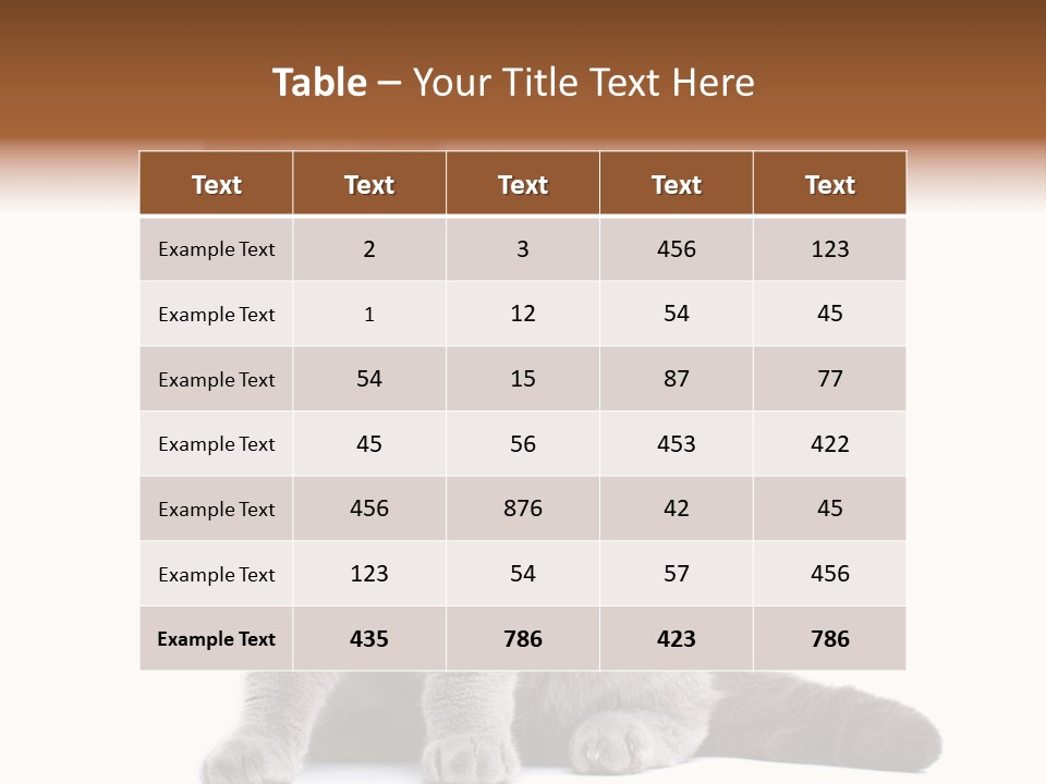 Pet Cat Curious PowerPoint Template