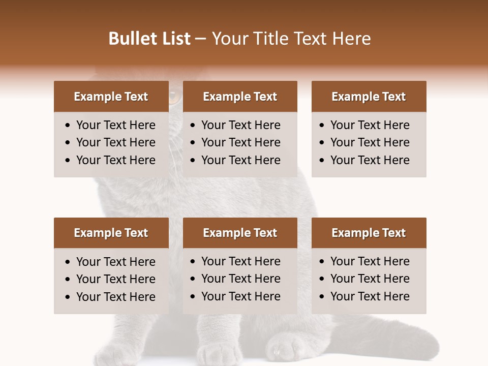 Pet Cat Curious PowerPoint Template